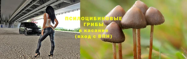 a pvp Гусь-Хрустальный