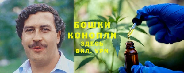 дурь Гусиноозёрск