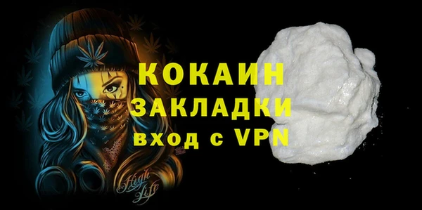 спиды Гусев
