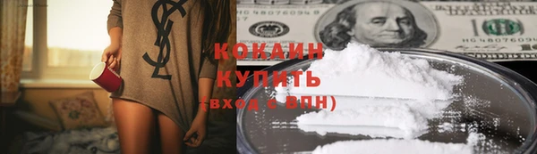 спиды Гусев