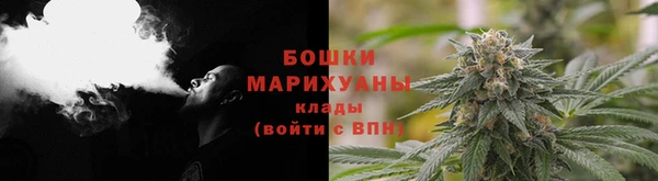 спиды Гусев