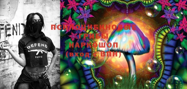 дурь Гусиноозёрск