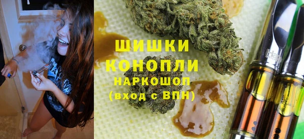 дурь Гусиноозёрск