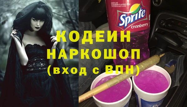 шишки Горнозаводск