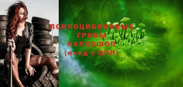 a pvp Гусь-Хрустальный