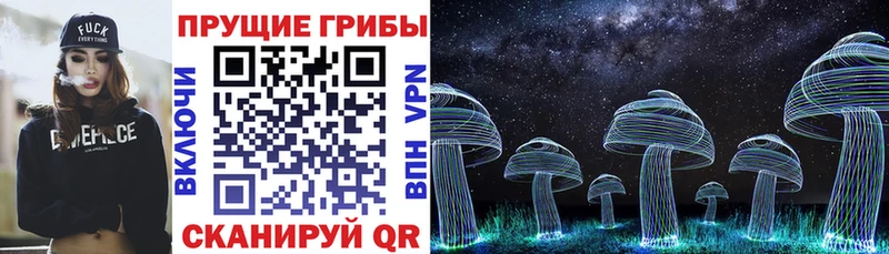Псилоцибиновые грибы мицелий Черкесск